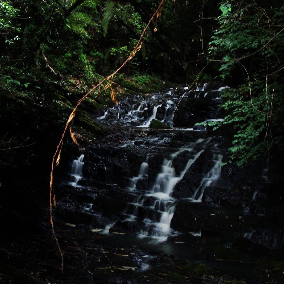 Photo of Unwinding in Shillong 1/9 by Radhika Murthy