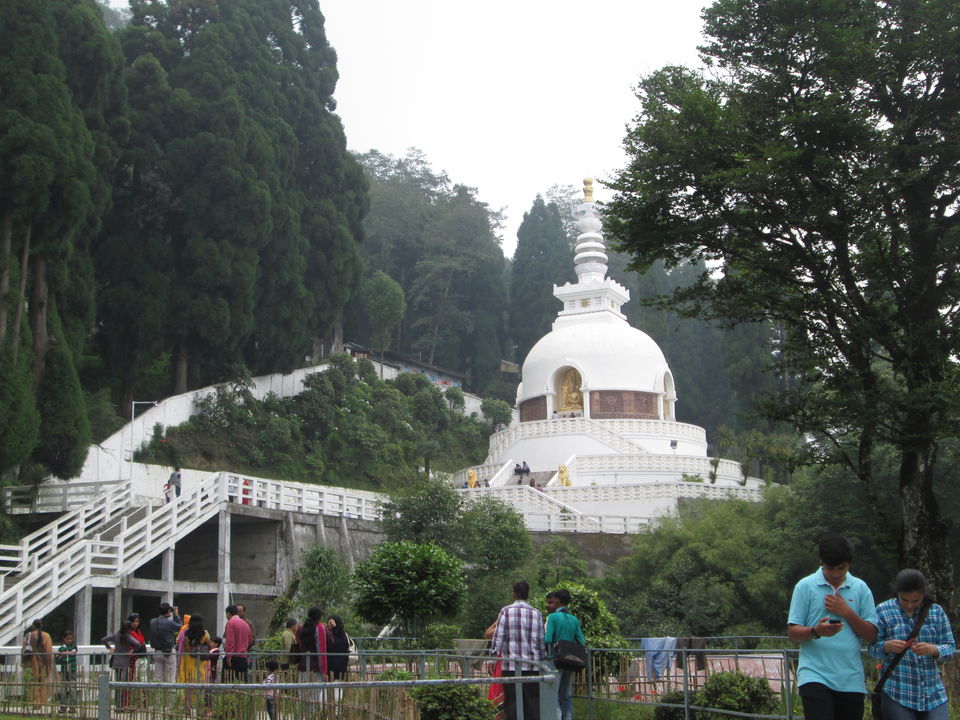 Photo of A day in Darjeeling 3/5 by Radhika Murthy