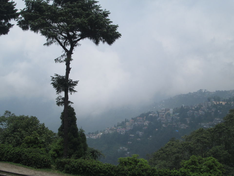 Photo of A day in Darjeeling 4/5 by Radhika Murthy