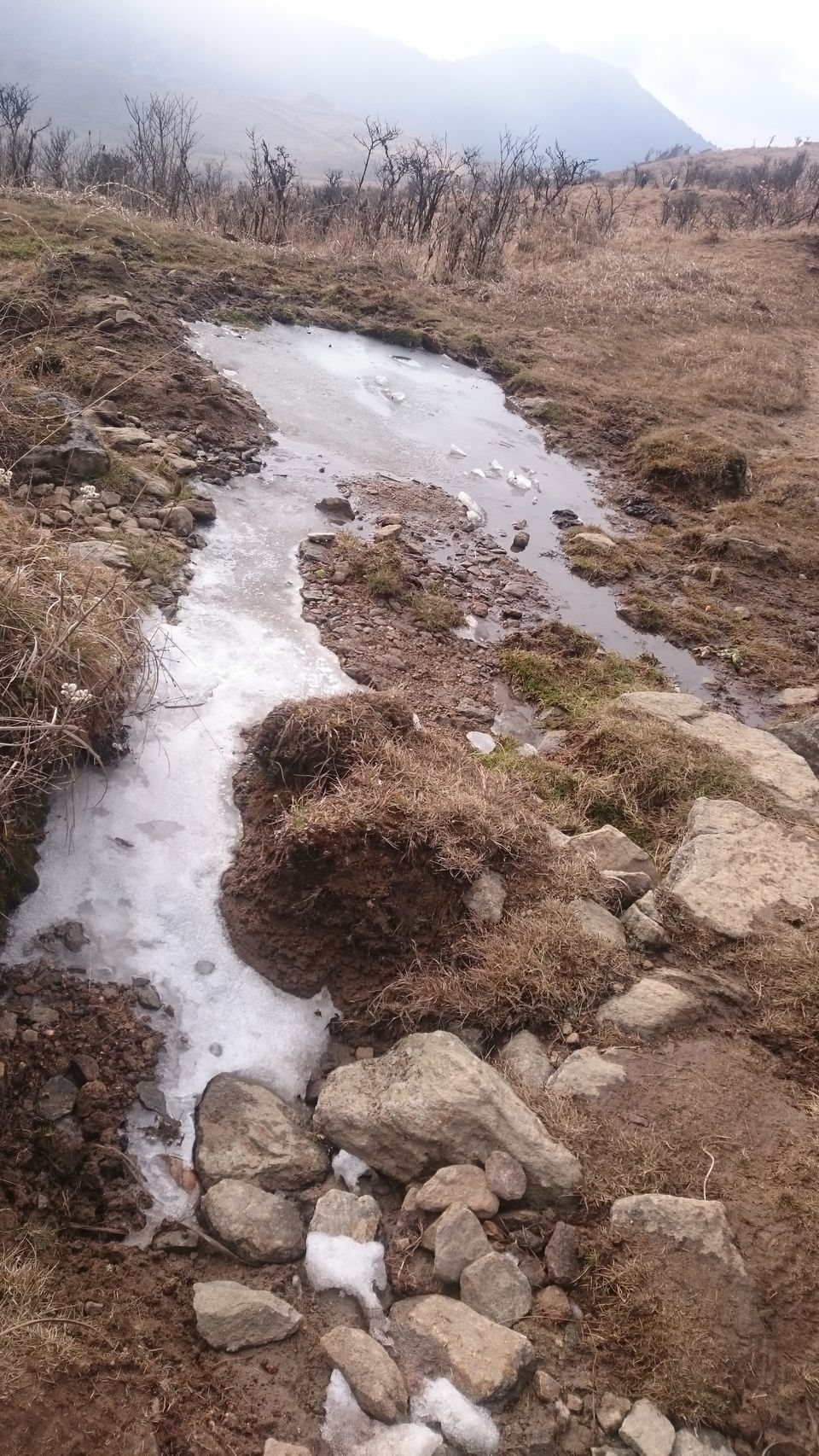 Photo of Trek to Sandakphu 2/36 by Gaurav Agarwal