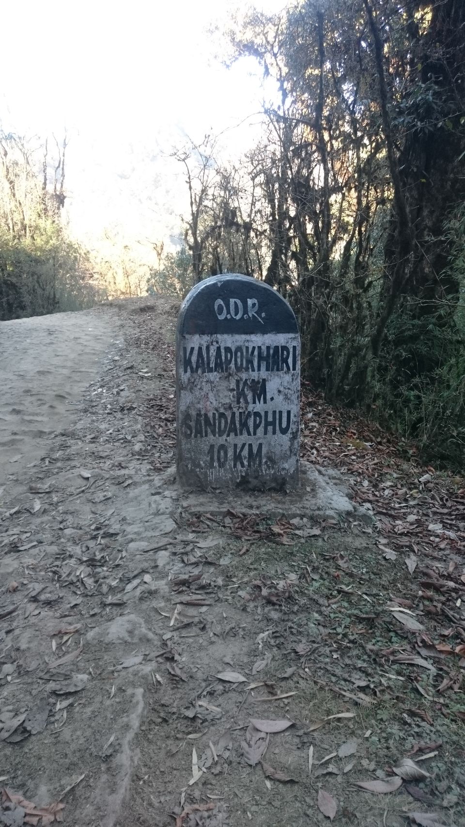 Photo of Trek to Sandakphu 5/36 by Gaurav Agarwal