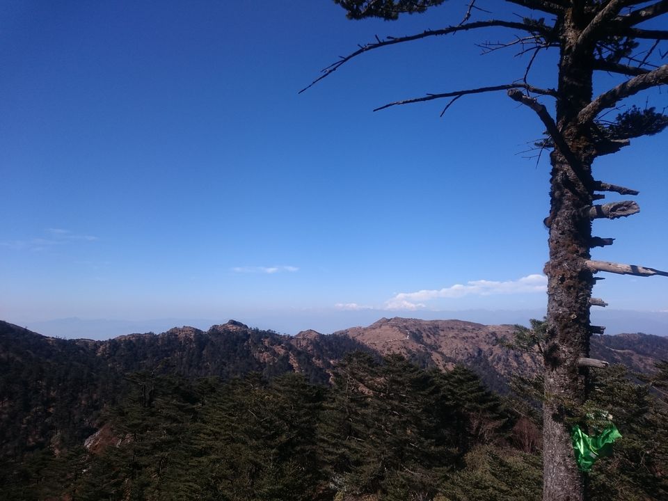 Photo of Trek to Sandakphu 9/36 by Gaurav Agarwal
