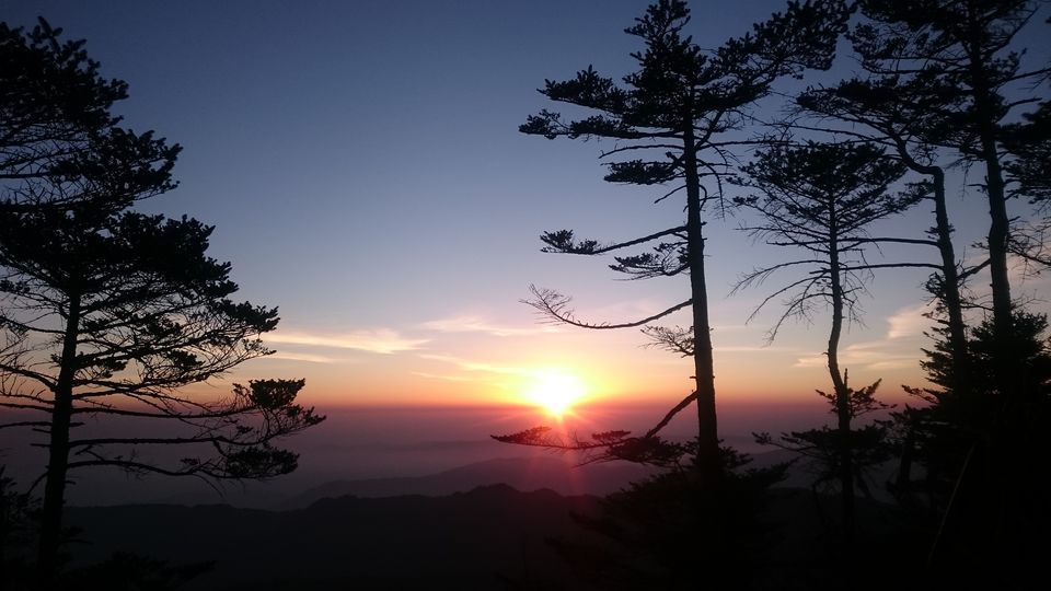 Photo of Trek to Sandakphu 16/36 by Gaurav Agarwal