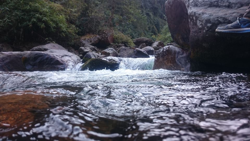 Photo of Trek to Sandakphu 22/36 by Gaurav Agarwal