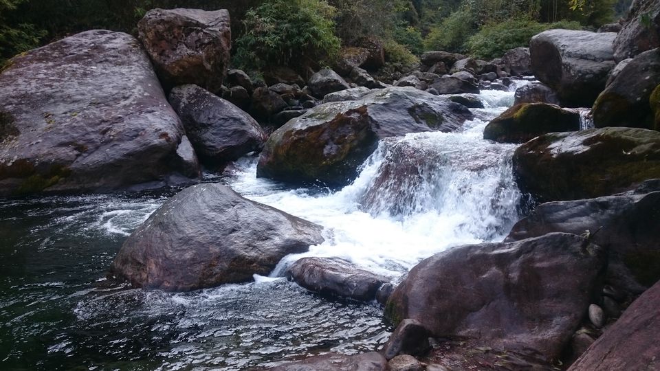 Photo of Trek to Sandakphu 23/36 by Gaurav Agarwal