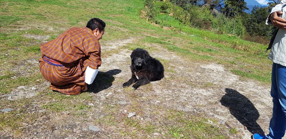 Photo of Hello Bhutan by Ritika Roy