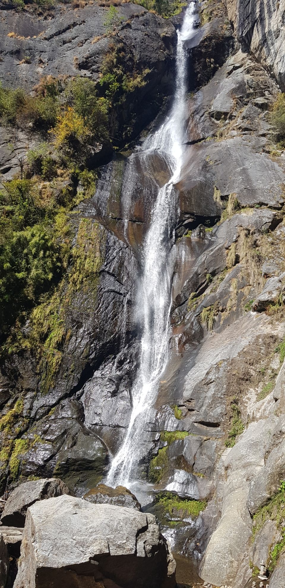Photo of Hello Bhutan by Ritika Roy