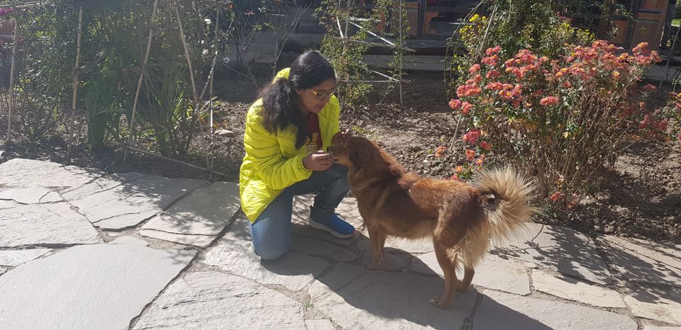 Photo of Hello Bhutan by Ritika Roy