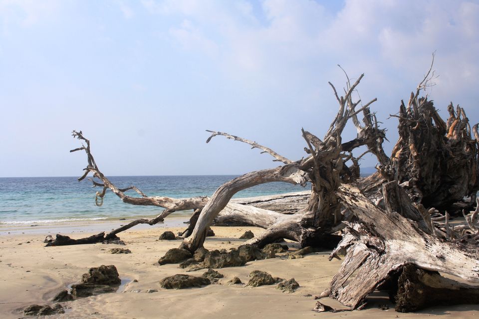 Photo of Ocean trails – Andaman & Nicobar Islands 5/6 by Nupur Desai