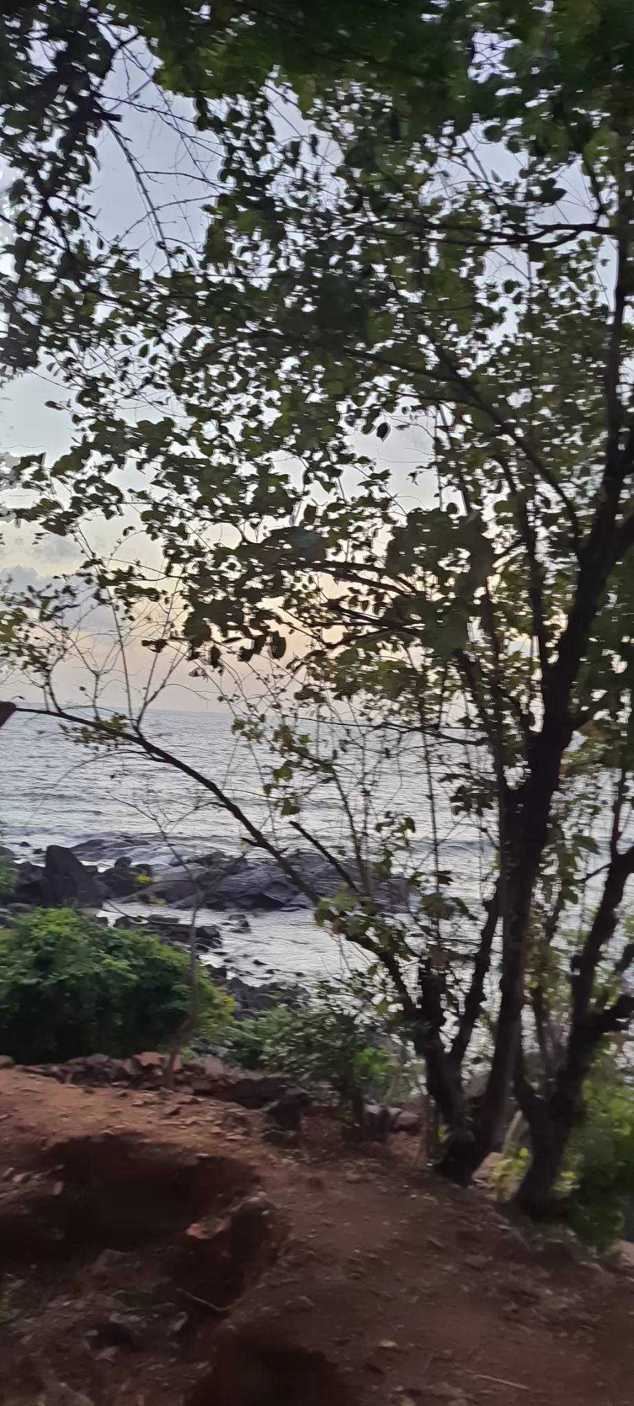 Photo of Weekend trip : Goa- Gokarna-Goa by tanvi manerikar