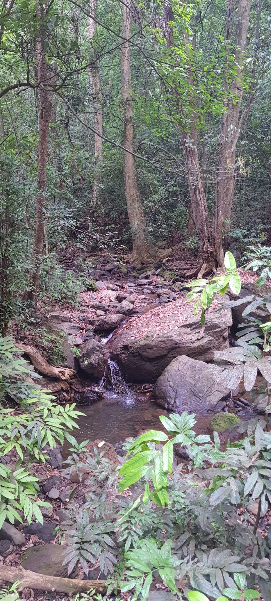 Photo of Weekend trip : Goa- Gokarna-Goa by tanvi manerikar