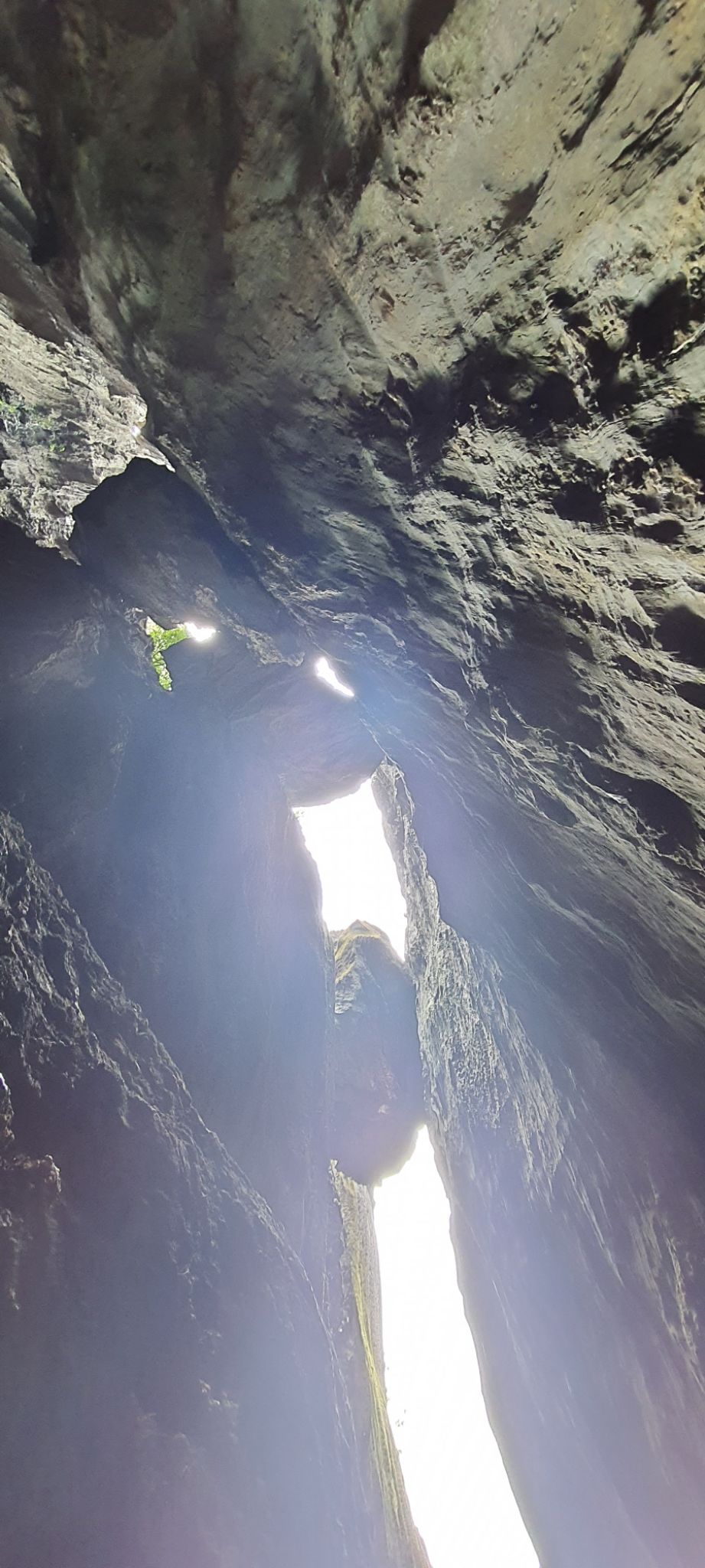 Photo of Weekend trip : Goa- Gokarna-Goa by tanvi manerikar
