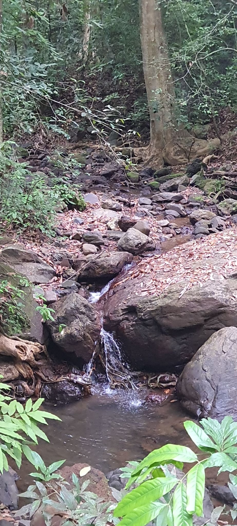 Photo of Weekend trip : Goa- Gokarna-Goa by tanvi manerikar