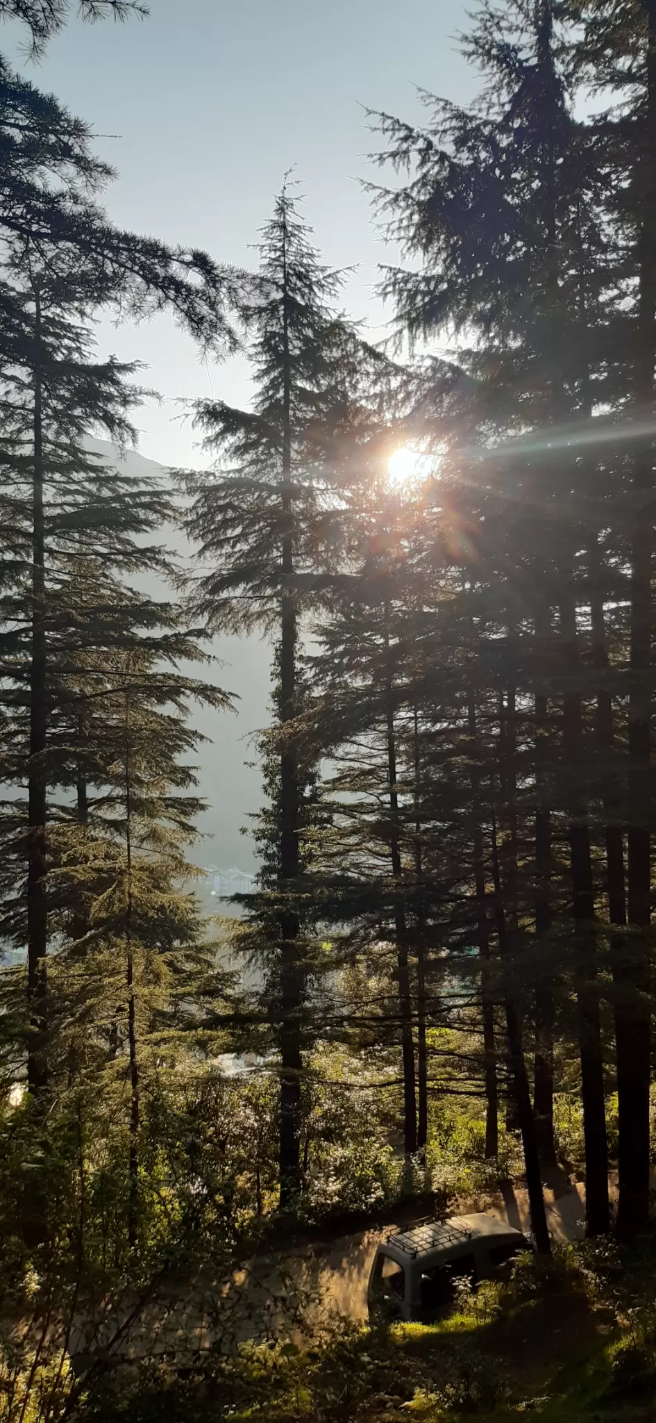 Photo of Triund 2Days by Adithya Ruthvik