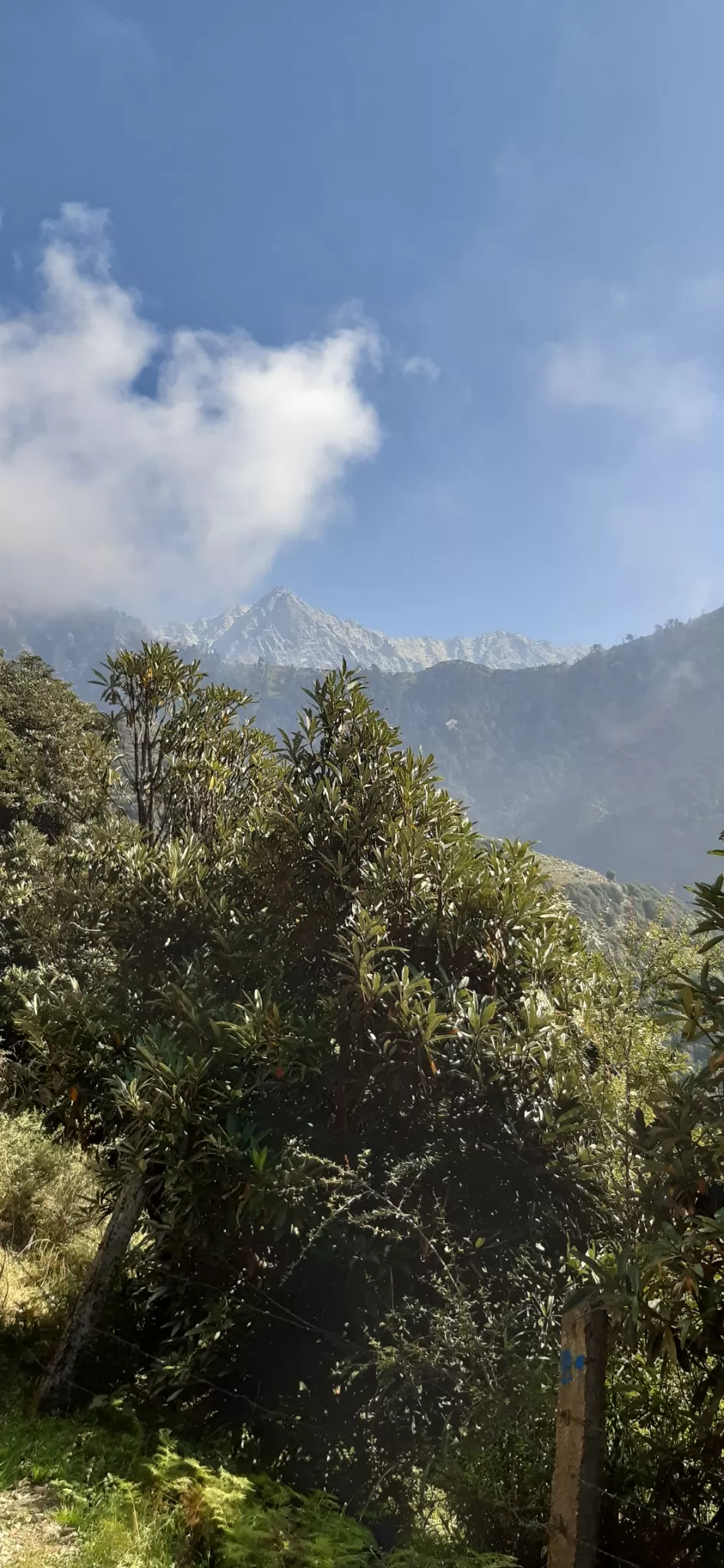 Photo of Triund 2Days by Adithya Ruthvik