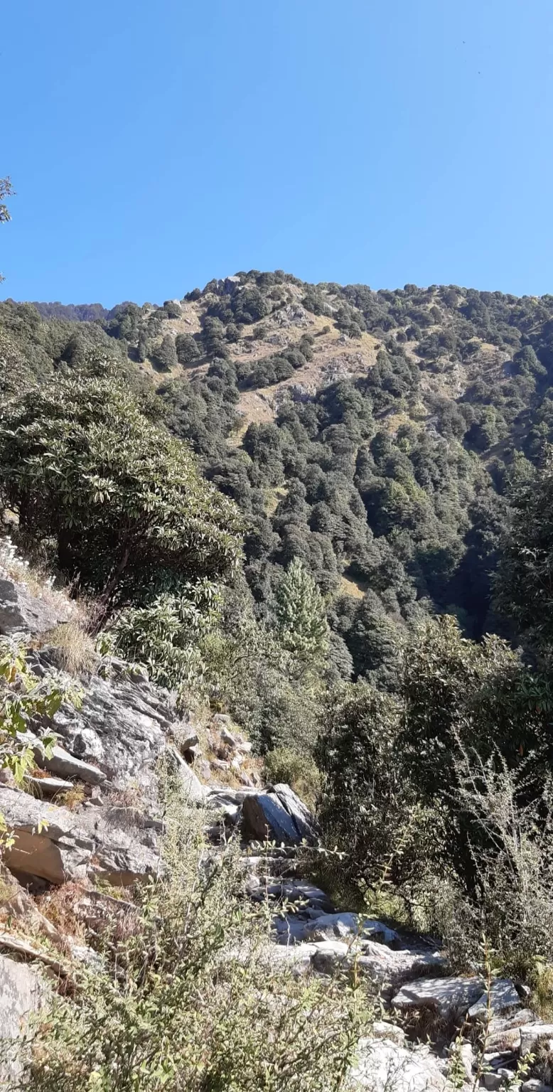 Photo of Triund 2Days by Adithya Ruthvik