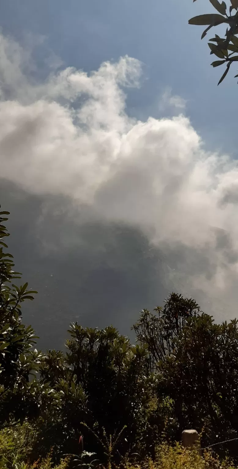 Photo of Triund 2Days by Adithya Ruthvik