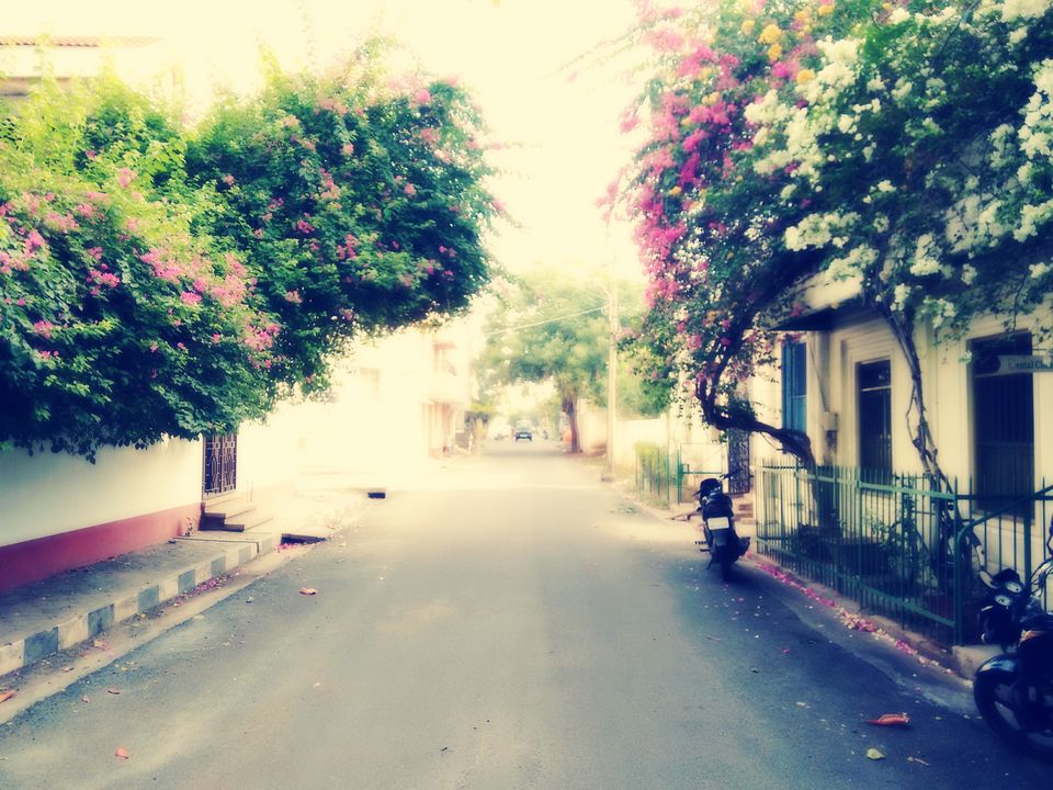 Photo of My first Solo trip, Pondicherry, Eloping with myself to the French town of India 9/13 by Shylu Vk