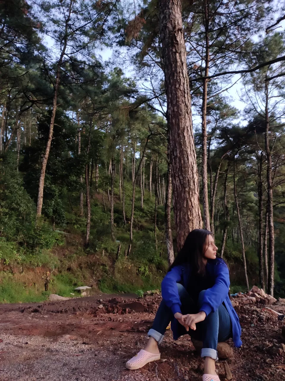 Photo of Upper Shillong Forest, Law Sohtun, Shillong, Meghalaya, India by Debajani Gohain