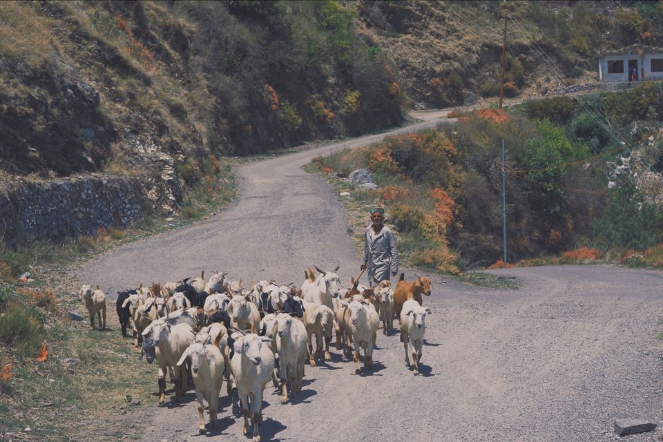 Photo of Uttarakhand, India by Debajani Gohain