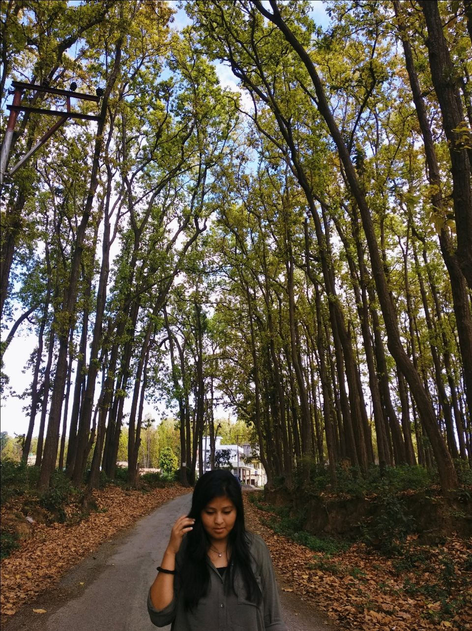 Photo of Uttarakhand, India by Debajani Gohain