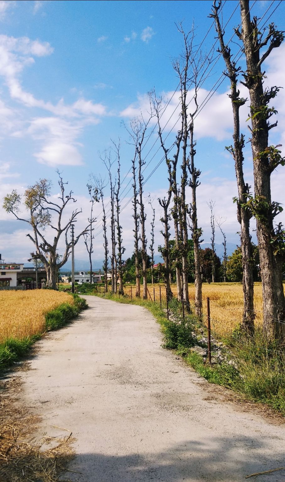 Photo of Uttarakhand, India by Debajani Gohain