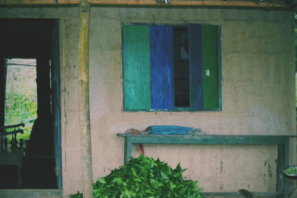 Photo of Charaideo Maidam, Bokopukhuri Habi, Assam, India by Debajani Gohain