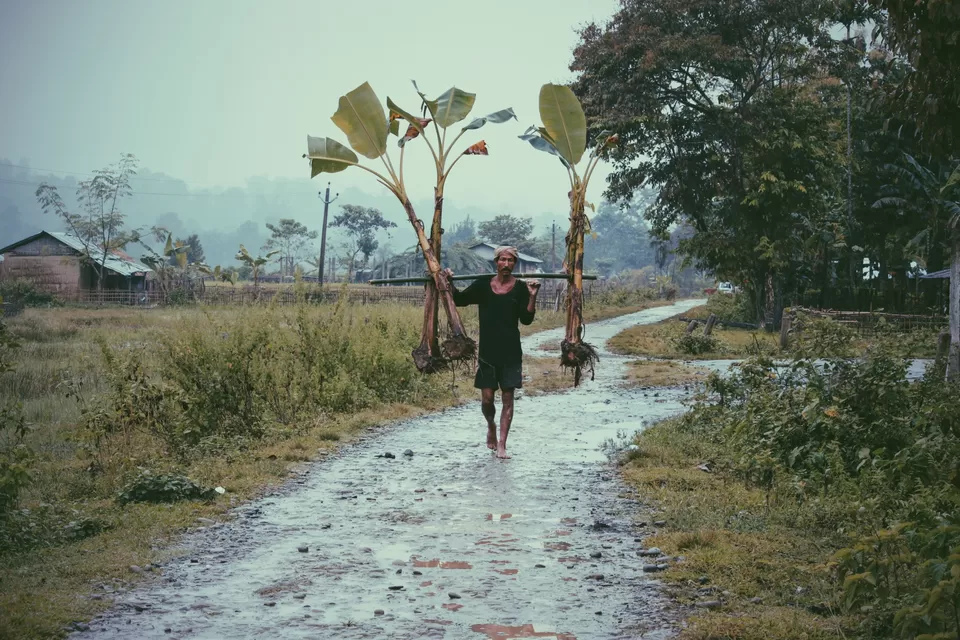 Photo of Charaideo Maidam, Bokopukhuri Habi, Assam, India by Debajani Gohain