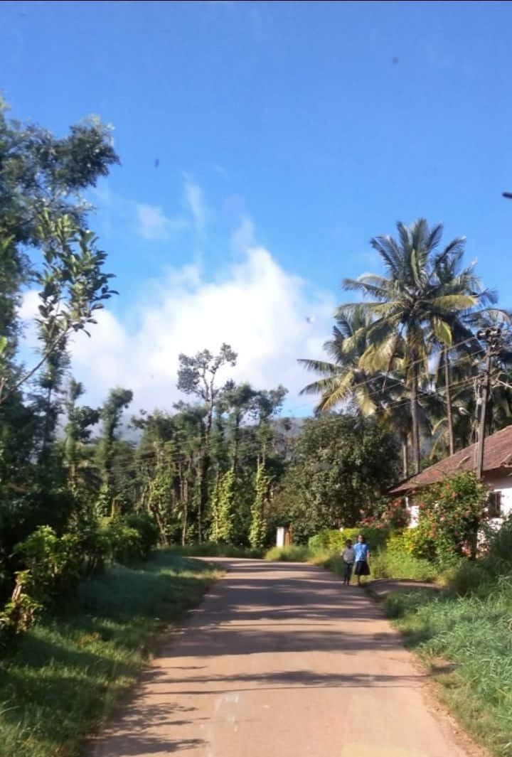 Photo of Coorg, Karnataka, India by Akash Thakur