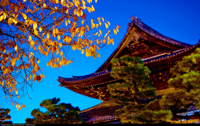 Photo of Japan by Pritha Puri