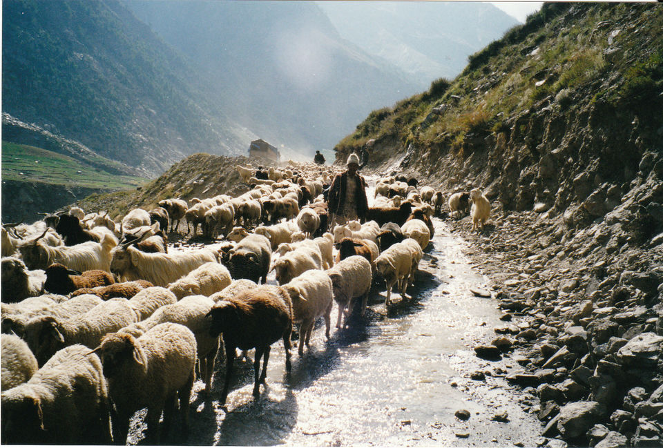 Photo of Yuksom, Sikkim, India by Pritha Puri