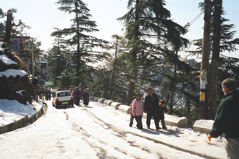 Photos of Dharamsala, Himachal Pradesh, India 1/1 by Pritha Puri