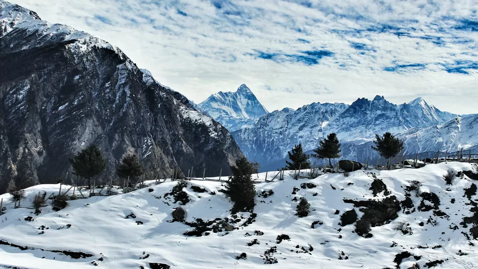 Photo of Auli, Himachal Pradesh, India by Pritha Puri