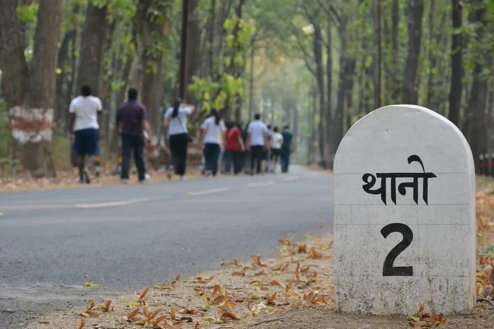 Photo of Thano, Dehradun, Uttarakhand, India by Pritha Puri