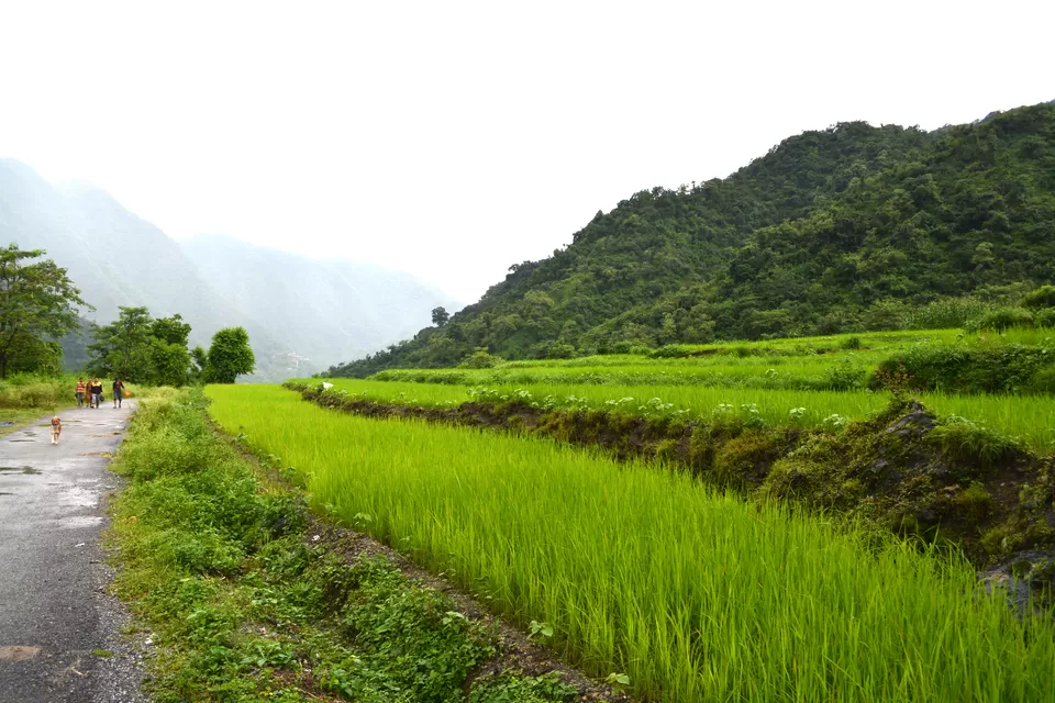 Photo of Jharipani, Doom Gaon, Uttarakhand, India by Pritha Puri