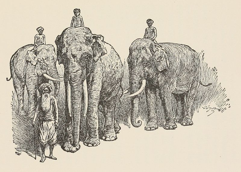 Photo of 12 Destinations From Your Favourite Childhood Books That You Had No Idea Were Real! 1/2 by Pritha Puri