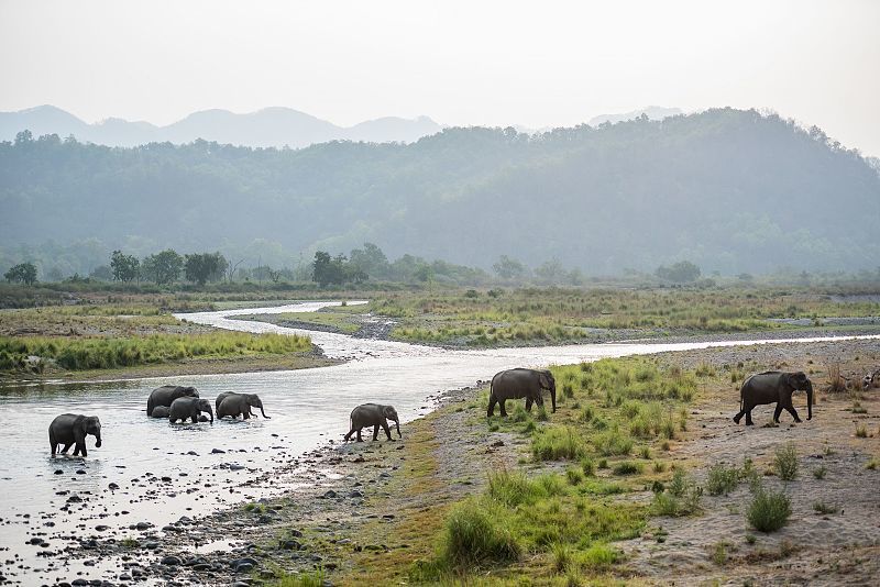 Photo of Dehradun, Uttarakhand, India by Pritha Puri