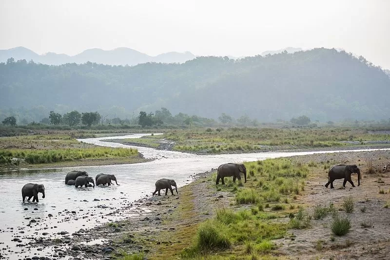 Photo of Dehradun, Uttarakhand, India by Pritha Puri