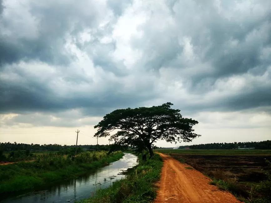 Photo of Ranthambore, Khilchipur, Rajasthan, India by Pritha Puri