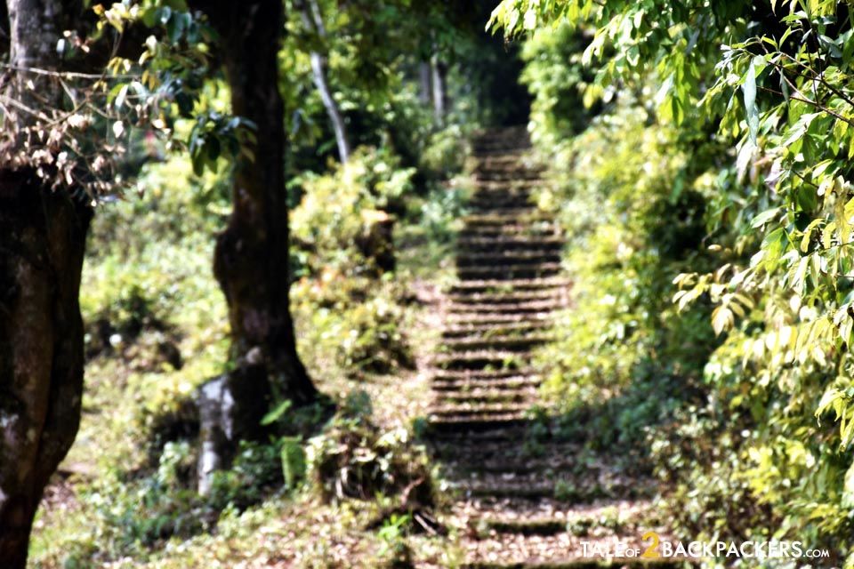 Photo of Roaming at Rinchenpong, Sikkim by Amrita