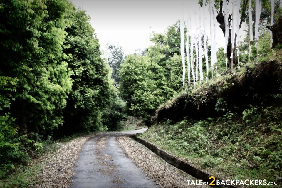 Photo of Roaming at Rinchenpong, Sikkim by Amrita