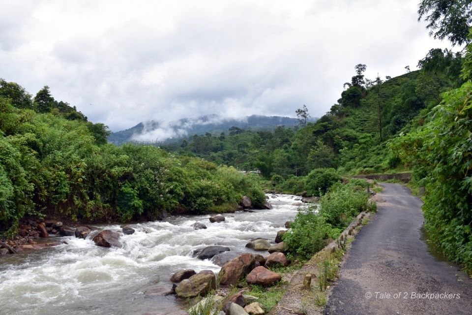 Photo of Tabakoshi - tea gardens and homestay, weekend spent in perfection by Amrita