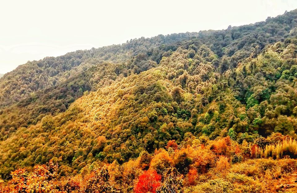 Photo of This Unexplored Trail Through A National Park Goes From Sikkim To Bhutan by Amrita