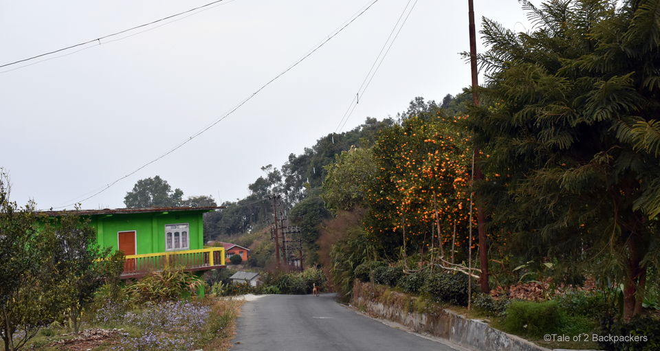 Photo of Guarded By The Lush Darjeeling Hills, The Hamlet Of Sitong Offers The Escape You Need by Amrita
