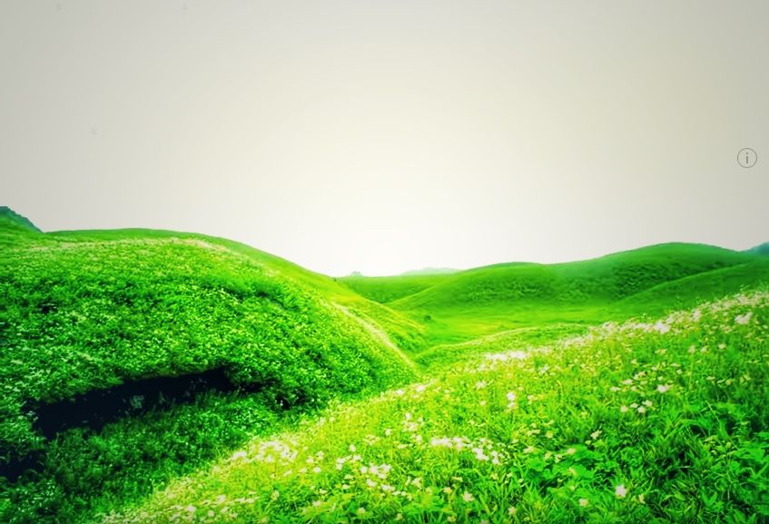 Photo of This Magical Trek Takes You Through Emerald Green Hills And A Million Year Old Valley by Amrita (Tale of 2 Backpackers)