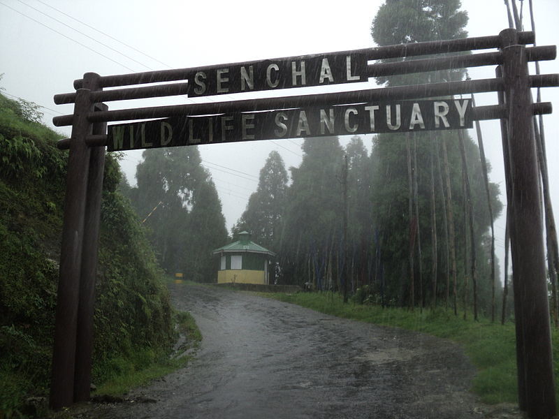 Photo of I've Uncovered A DIY Trek In West Bengal That Has The Best Views Of The Kanchenjunga by Amrita