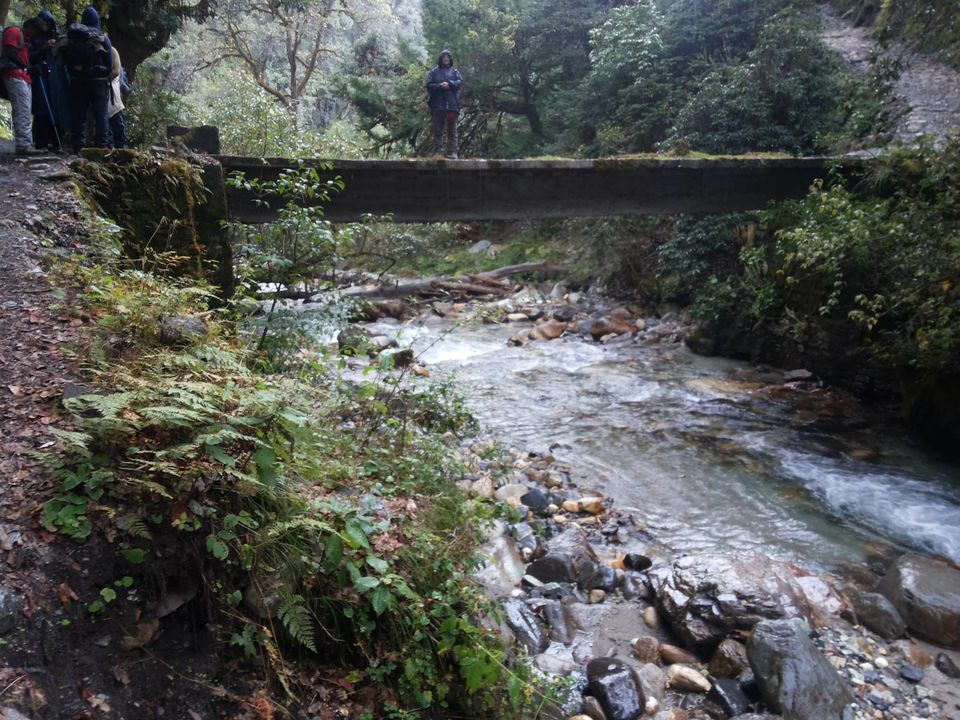 Photo of Lohajung - Wan Road, Vaan Madhye Kuling, Uttarakhand, India by Amrita