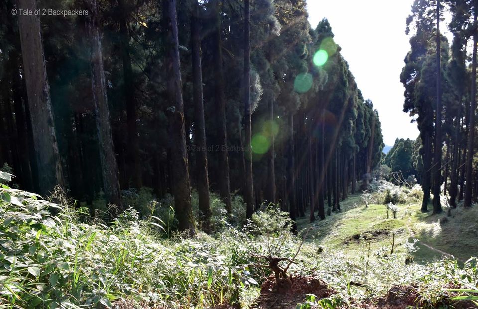 Photo of With Majestic Views Of Kanchenjunga, This Quaint Hamlet In Darjeeling Is A Great New Year Getaway by Amrita