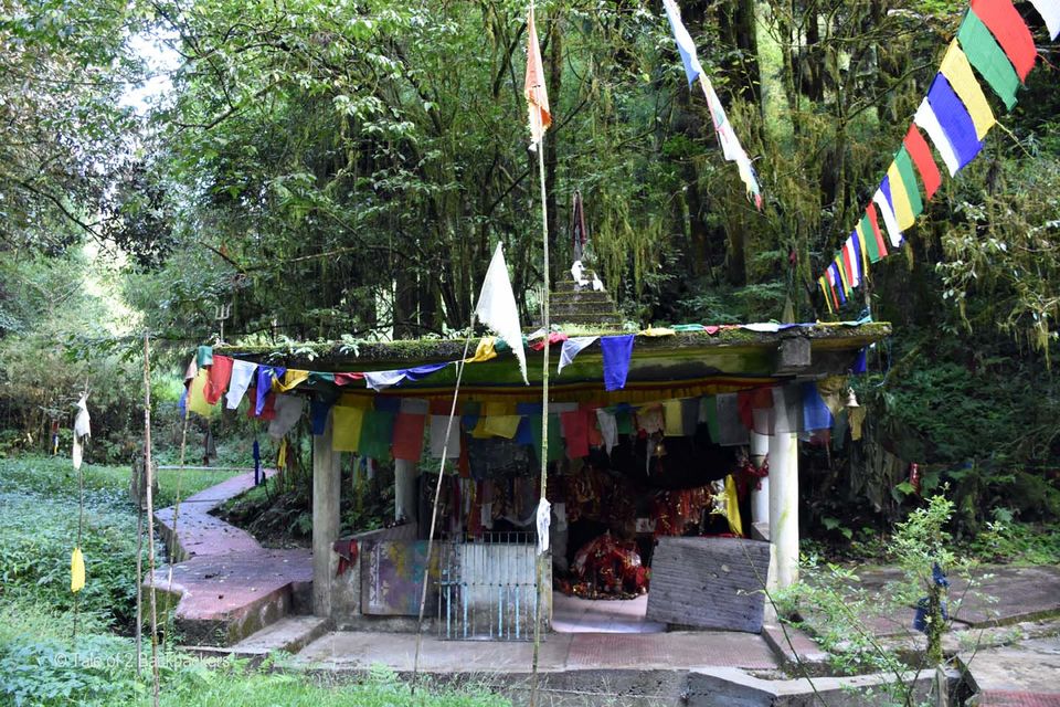 Photo of With Majestic Views Of Kanchenjunga, This Quaint Hamlet In Darjeeling Is A Great New Year Getaway by Amrita
