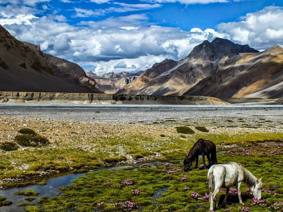 Photo of This 12-Day Trek From Spiti To Ladakh Is An Amazing Sojourn Through The Mighty Himalayan Cold Desert by Amrita